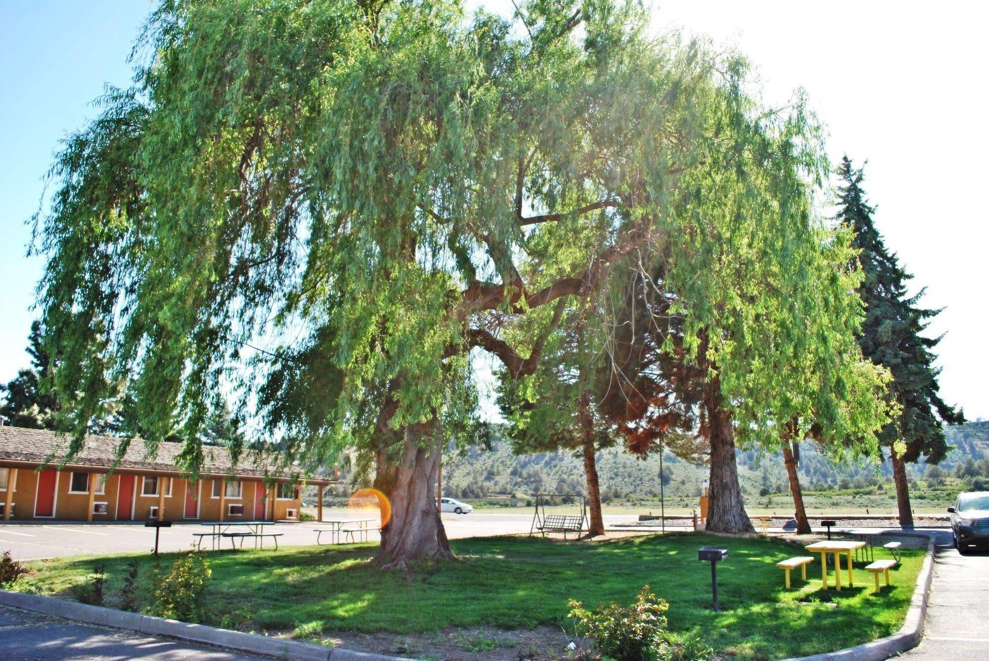 קלאמאת' פולס Oregon Motel 8 And Rv Park מראה חיצוני תמונה